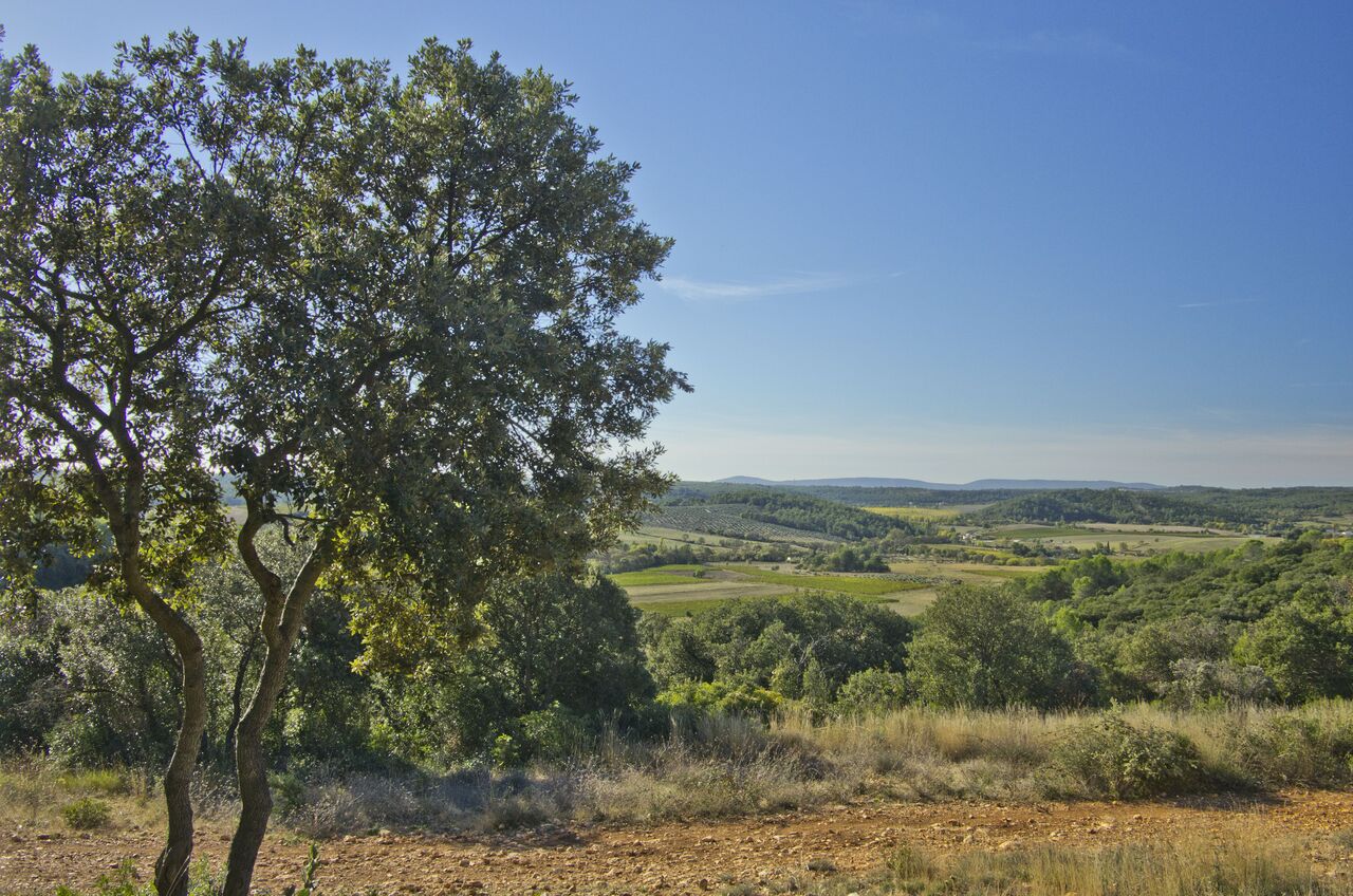 Vue depuis le Bois de Redonel