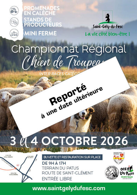 concours_chien_de_troupeaux_reporte